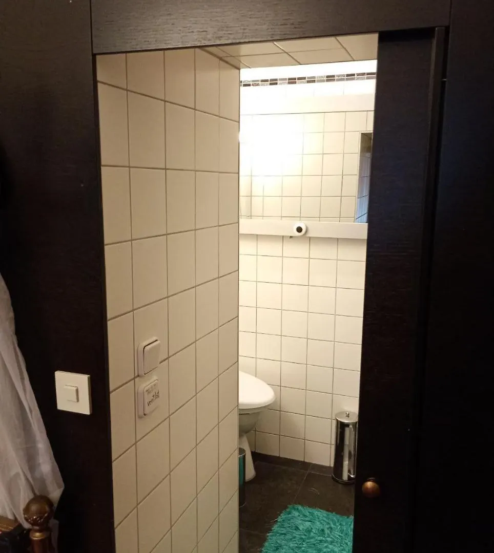 Luxury Near Castle Hotel Wien 0*,
